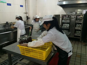 筑牢校园安全防线 学院开展冬季食品卫生与大型活动服务专项检查